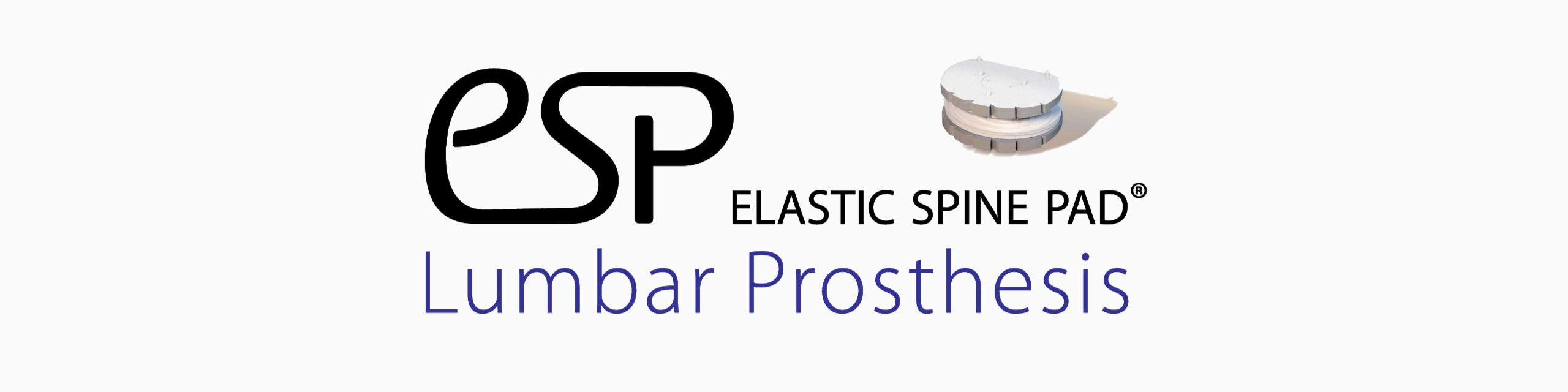 Via4Spine - LP-ESP LUMBALE BANDSCHEIBENPROTHESE