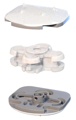 Via4SPINE - CP-ESP ZERVIKALE BANDSCHEIBENPROTHESE - BILD 1